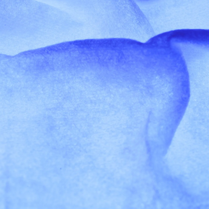 iS Clinical Active Peel System